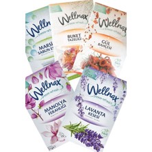 Wellnax Breeze Refresh Dolap ve Çekmece Kokusu Karışık Seri
