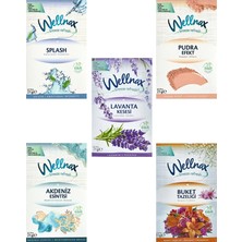 Wellnax Breeze Refresh Dolap ve Çekmece Kokusu Karışık Seri