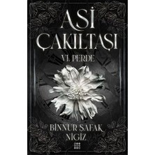 Dokuz Yayınları 6. Perde - Asi Çakıltaşı (Ciltli)... +8 Adet Edebiyat Kitabı