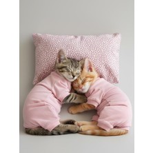 Kemique Minimini Kapler Kedi Uyku Seti | Penye Kedi Tulum ve Mini Yastık Takımı | Pamuklu | Tüy Dökülmesini Azaltır |