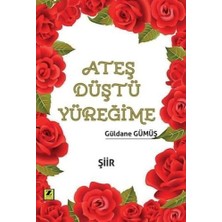 Zinde Yayıncılık Ateş Düştü Yüreğime... +2 Adet Edebiyat Kitabı
