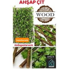 Dogant Ege 35  Akardiyon Ahsap Çit Paravan Yapay Sarmaşık
