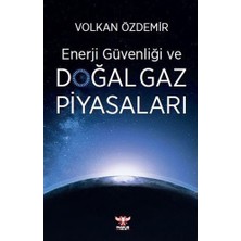 Pankuş Yayınları Enerji Güvenliği ve Doğal Gaz Piyasaları... +2 Adet Siyaset Kitabı