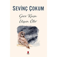 Kapı Yayınları Gece Kuşu Uzun Öter... +2 Adet Edebiyat Kitabı