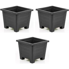 Royal Rain Store Plastik Balkon ve Iç Mekan Saksı 3 Adet (Antrasit), 0,6 Lt
