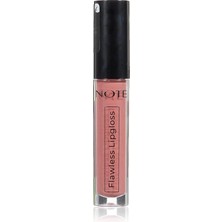 Royal Rain Store Cosmetics Flawless Lipgloss 03 Dried Rose Nemlendirici Etkili Parlak Ruj, Pembe