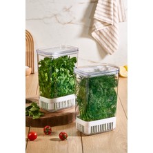 Yeşillik Saklama Kabı 2'li Set, 2900 Ml, Taze ve Organik Saklama Kutu