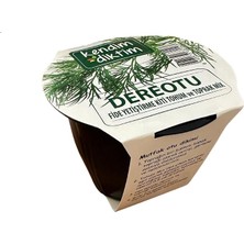 Royal Rain Store Bitkileri Tohum Seti (Dereotu)