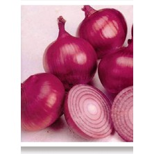 Royal Rain Store Tarım Yerli Doğal Mor Soğan Ata 1000 Adet Tohum