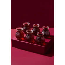 Şık 6'lı Çay Bardağı Seti 200 Ml, Zarif ve Dayanıklı Tasarım