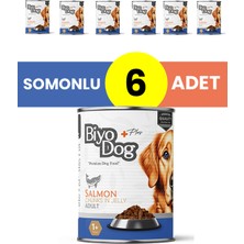Biyodog Plus Somonlu Yetişkin Köpek Konserve Yaş Mama 400GR