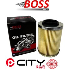 Cf Moto C Force 800 2013-2024 Yağ Filtresi Boss CT2276