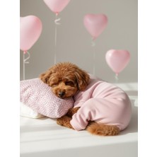 Kemique Minimini Kalpler Pembe Köpek Uyku Takımı | Pamuklu Penye Köpek Tulumu ve Mini Yastık | Küçük Irklar Için | Tüy Dökülmesini Azaltır