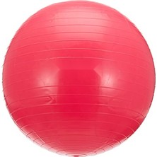 MarkEntegra 55 cm Pompalı Pilates Topu - Dayanıklı Pvc Malzeme