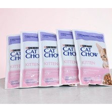 5'li Kuzu ve Kabaklı Yavru Kedi Yaş Mama