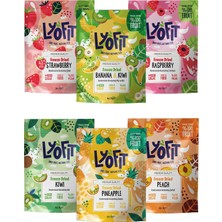 Lyofit Food Rainbow Balance Mix