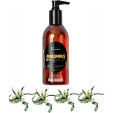 Subutu Burlumbuş Otu Bakım Masaj Jeli 120 ml x 1 Adet