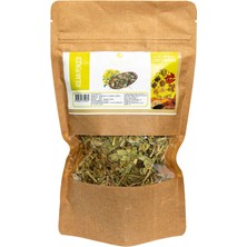 Bütüncül Şifa Aslan Pençesi