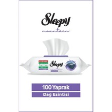 Sleepy Dağ Esintisi Yüzey Temizlik Mendili