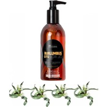 Elasya Burlumbuş Otu Bakım Masaj Jeli 120 ml x 1 Adet