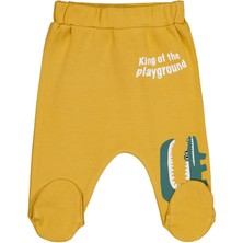 Civil Baby Timsah Baskılı 1-9 Ay Tek Alt Bebe - Hardal 6-9 Ay