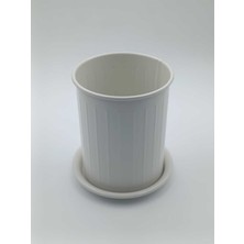 Paslanmaz Çelik Çatal Kaşıklık ve Bıçaklık, Bej, 13 cm