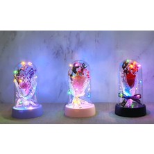 TE Dükkan LED Işıklı Müzikli Cam Fanus Içinde Gül Buketi