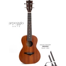 Arpeggio Arte UK02 Maun Kaplama Concert Ukulele – Başlangıç ve Hobi Için – Siyah Kılıf Dahil