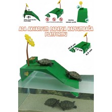 Ada Akvaryum Papatya Su Kaplumbağası  Rampalı Dinlenme Platformu Yemlikli