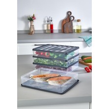 4'lü 2,5l Şeffaf Saklama Kabı Seti, Buzdolabı ve Difriz Düzenleyici