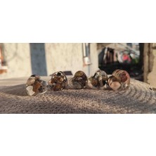 Miina Aksesuar Epoksi Reçine Içerisine Yerleştirilmiş Doğal Taşlardan Yapılmış El Yapımı Dekoratif Kalpler