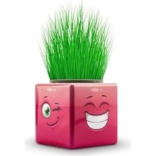 Ecosell Bambamtoys 3 Adet Karışık 3 Tarafı Emojili Küp Çim Okul ve Okul Öncesi Hediyelik Çim Adam BAMBMNM418