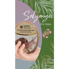 Ecosell Salyangoz Özlü Doğal Süngerli Sabun