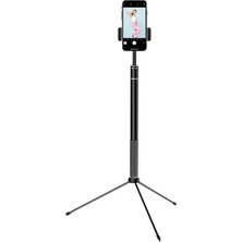 Indispensablely 2ın1 Tripod Standlı Tiktok Selfie Çekim Işıklı Telefon Tutucu - Makyaj Işığı DLK362