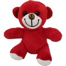 Peluş Oyuncak Ayı