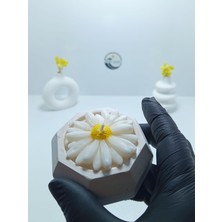 Deniz Kuzey Design Özel Tasarım Papatya Figürlü Karamel Latte Kokulu Mum - Minimalist Taş Tozu Saksı