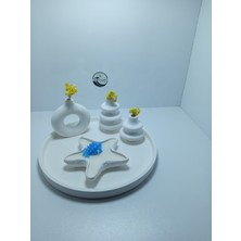 Deniz Kuzey Design Karamel Kokulu Deniz Yıldızı Mum - Taş Tozu Saksılı Hediyelik Dekoratif 5' Li Set