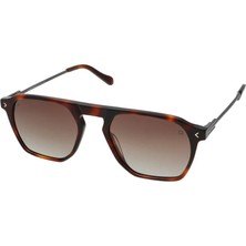 Quantum Havana Kahverengi Polarize Unisex Güneş Gözlüğü 51 mm