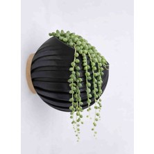 Hanart Dekoratif Modern Duvar Saksısı Duvara Monte Saksı Siyah