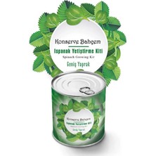Depozee Yumurcak Shop® Konserve Bahçem Evde Konservede Kolay Ispanak Yetiştirme Kiti