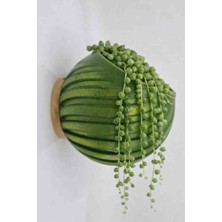 Hanart Dekoratif Modern Duvar Saksısı Duvara Monte Saksı Yeşil