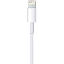 AyrStore ZR649 Lightning 15 Cable 2 M
