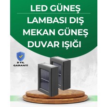 MiraLive Şeffaf Abajurlu Duvar Tipi Solar Işık