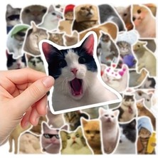 Tiklad Çılgın Kediler Macbook Notebook Tablet Telefon Ajanda Laptop Defter Sticker Seti