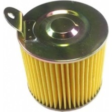 Seçkin Motor Actıva Hava Filtre Elemanı