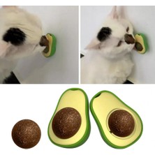 Derin Stok Avokado Dönen Kedi Nanesi Cat Oyun Topu Doğal Kedi Oyuncağı