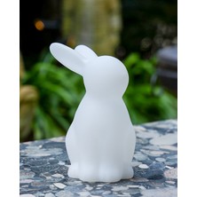 Venüs Lights Bunny RGB Kablosuz Masa Lambası
