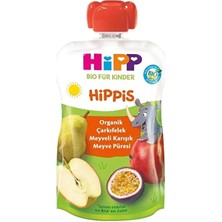 Hipp Organik Çarkıfelek Meyveli Karışık Meyve Püresi 100 gr