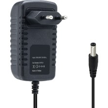 Techmore 1 Amper Lithium Ion Battery Charger 5.5-2.5mm Lityum Iyon Pilli El Aletleri Için Uygun Şarj Cihazı