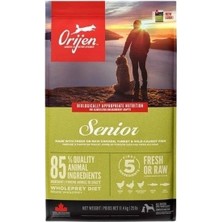 Üreticiniz Ashwork Orijen Senior Tahılsız Yaşlı Köpek Maması 11.4 kg 587455
